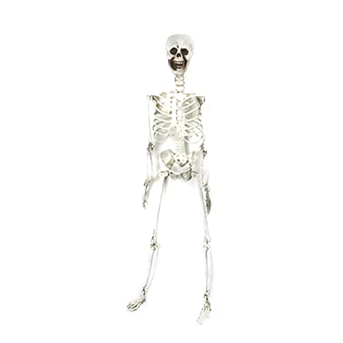 Newin Star Body Skeleton with Movable Joints Plastic Skeleton Model for Halloween Decorations Outdoor Indoor, Home Garden House Patio Decor (70 cm)