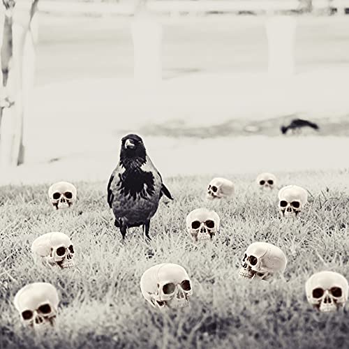 Uoeo 10 Pcs Halloween Skulls Realistic Skeleton Head Skull Plastic Human Head Skull Figurines Sculpture for Halloween Party Home Bar Table Haunted House Decoratoin