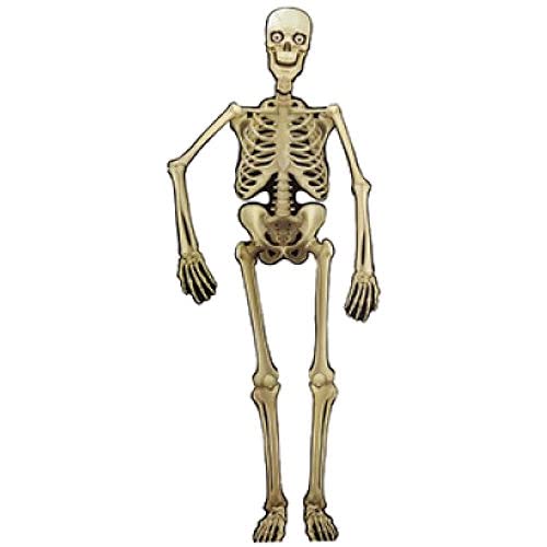 Ditzy Doll HALLOWEEN 5FT JOINTED HANGING SKELETON - Single Assorted Party Decoration House Poseable Spooky Characters Fun