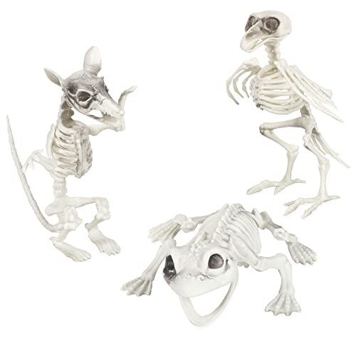 I LOVE FANCY DRESS HALLOWEEN SKELETON ANIMALS - PACK OF 3 SKELETAL ANIMAL PROPS - BIRD, RAT AND FROG - SCARY DECORATIONS FOR HALLOWEEN PARTIES
