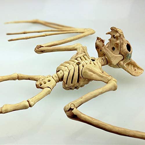 Halloween Party Decorations,Horrible Halloween Bat Skeleton Simulation Bat Skeleton Lifelike Bat Bone Halloween Decorations Halloween Props Animal Skeleton for Halloween Decoration, Bat