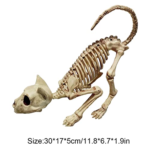 Crouching Cat Skeleton Cat Skull Model Creepy Scary Animal Bones Lifelike Cat Bone Halloween Decorations,Halloween Props Animal Skeleton Halloween Supplies- Cat Skeleton Scary Model Creepy Animal