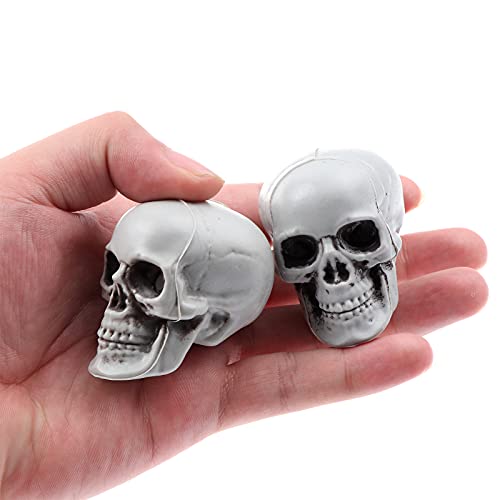 Uoeo 10 Pcs Halloween Skulls Realistic Skeleton Head Skull Plastic Human Head Skull Figurines Sculpture for Halloween Party Home Bar Table Haunted House Decoratoin