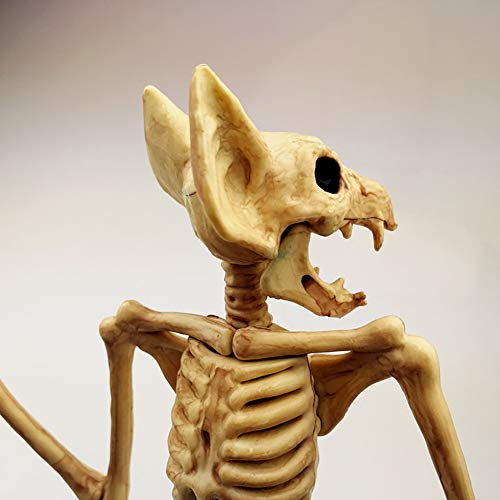 Halloween Party Decorations,Horrible Halloween Bat Skeleton Simulation Bat Skeleton Lifelike Bat Bone Halloween Decorations Halloween Props Animal Skeleton for Halloween Decoration, Bat