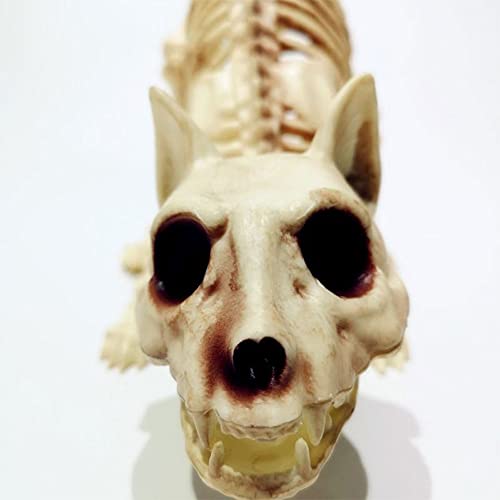 Crouching Cat Skeleton Cat Skull Model Creepy Scary Animal Bones Lifelike Cat Bone Halloween Decorations,Halloween Props Animal Skeleton Halloween Supplies- Cat Skeleton Scary Model Creepy Animal