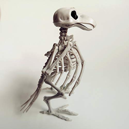 Amosfun Skeleton Raven Plastic Bird Skeleton Halloween Decoration