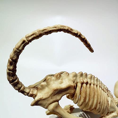 Crouching Cat Skeleton Cat Skull Model Creepy Scary Animal Bones Lifelike Cat Bone Halloween Decorations,Halloween Props Animal Skeleton Halloween Supplies- Cat Skeleton Scary Model Creepy Animal