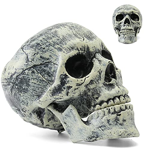 MIRTHBUY 3PCS Fake Skeleton Head and Hands Set Halloween Decoration Scary Plastic Skull Skeleton Decors for Indoor Outdoor Halloween Party Haunted House