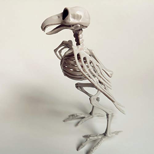 Amosfun Skeleton Raven Plastic Bird Skeleton Halloween Decoration