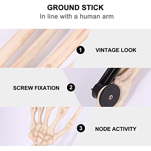 TOYANDONA Skeleton Arms and Hands Realistic Looking Skeleton Stakes Yard Lawn Stakes for Halloween Haunted House Groundbreakers Decor