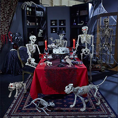 Halloween Party Decorations,Horrible Halloween Bat Skeleton Simulation Bat Skeleton Lifelike Bat Bone Halloween Decorations Halloween Props Animal Skeleton for Halloween Decoration, Bat