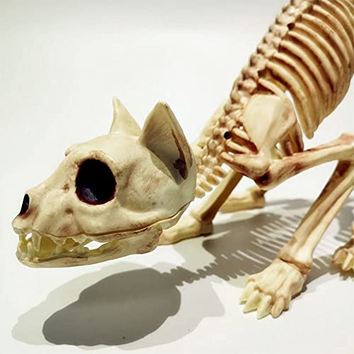 Crouching Cat Skeleton Cat Skull Model Creepy Scary Animal Bones Lifelike Cat Bone Halloween Decorations,Halloween Props Animal Skeleton Halloween Supplies- Cat Skeleton Scary Model Creepy Animal