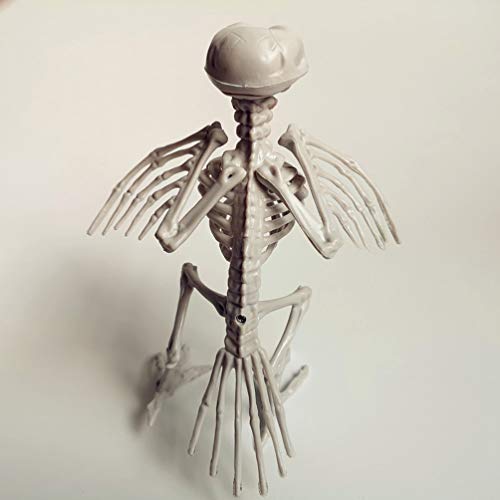 Amosfun Skeleton Raven Plastic Bird Skeleton Halloween Decoration