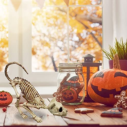 Crouching Cat Skeleton Cat Skull Model Creepy Scary Animal Bones Lifelike Cat Bone Halloween Decorations,Halloween Props Animal Skeleton Halloween Supplies- Cat Skeleton Scary Model Creepy Animal