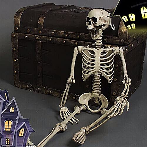 Qivange Halloween Decoration Horror Skeleton Props Poseable decor Life Size 90cm Human Skeleton Model Prop Graveyard Bones for Halloween Party