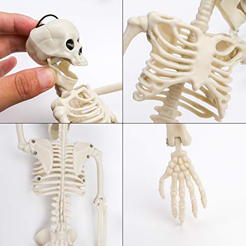 Qpout 2 Pack 16" Halloween Skeleton Full Body Posable Joints Skeletons, Halloween Skeleton Decorations for Halloween Party Haunted House Accessories Bar Graveyard Decorations Party Supplies