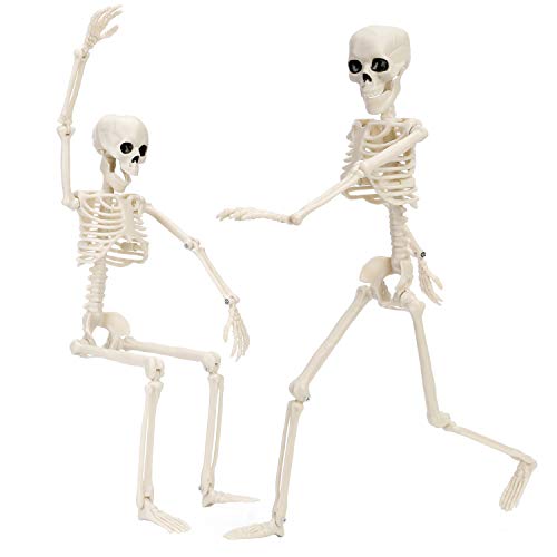 Qpout 2 Pack 16" Halloween Skeleton Full Body Posable Joints Skeletons, Halloween Skeleton Decorations for Halloween Party Haunted House Accessories Bar Graveyard Decorations Party Supplies