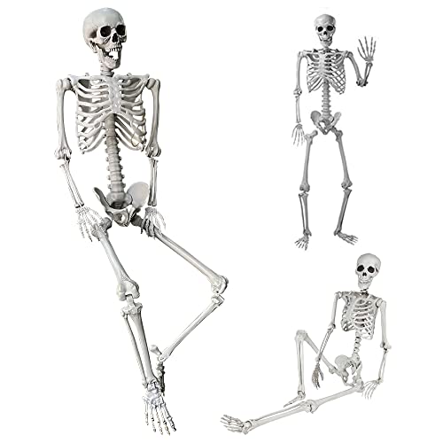 5.4Ft/165cm Halloween Skeleton Full Body with Movable Joints for Indoor Outdoor Halloween Props Decorations (5.4Ft)