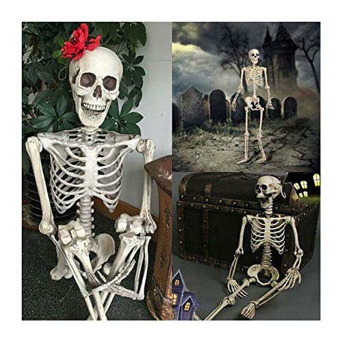 Niblido Halloween Human Skeleton Oversized Poseable Full Life Size Decoration Party Prop. (2PC)