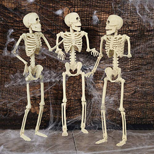 Gunolye Halloween Skeleton with Movable Joints,Best Halloween Decoration,Full Body Posable Halloween Skeleton for Haunted House Props Decorations (5)