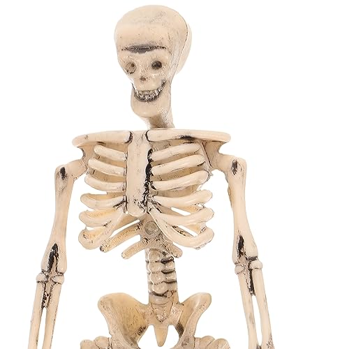 NUOBESTY 8pcs Plastic Skeletons Full Body Skeletons Halloween Skeletons Decorations Haunted House Prop Light Brown