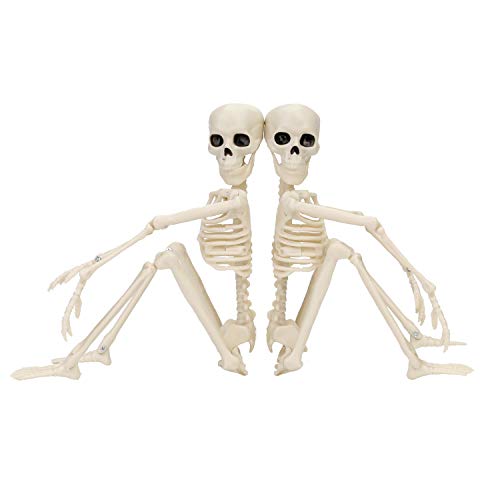 Qpout 2 Pack 16" Halloween Skeleton Full Body Posable Joints Skeletons, Halloween Skeleton Decorations for Halloween Party Haunted House Accessories Bar Graveyard Decorations Party Supplies