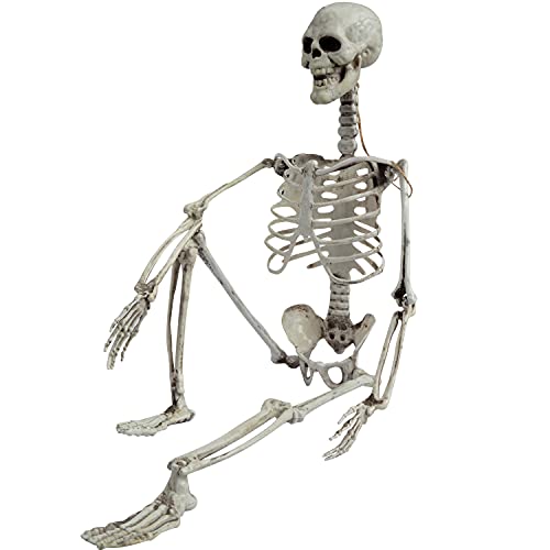 27” Halloween Skeleton Realistic Full Body Skeleton Bones with Movable Joints for Halloween Party Decoration