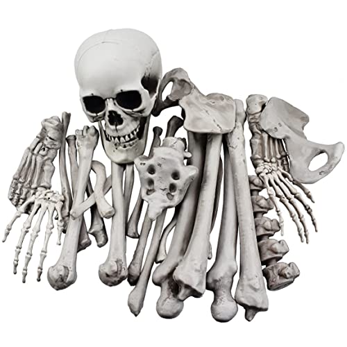 XONOR 28 Pieces Skeleton Bones and Skull for Halloween Decor or Spooky Graveyard Ground Decoration