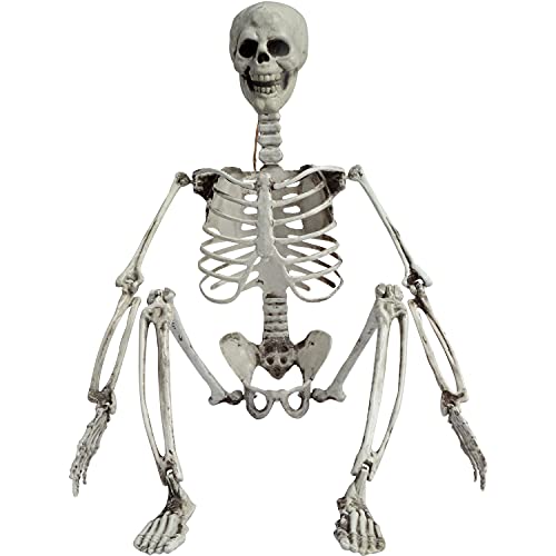 27” Halloween Skeleton Realistic Full Body Skeleton Bones with Movable Joints for Halloween Party Decoration