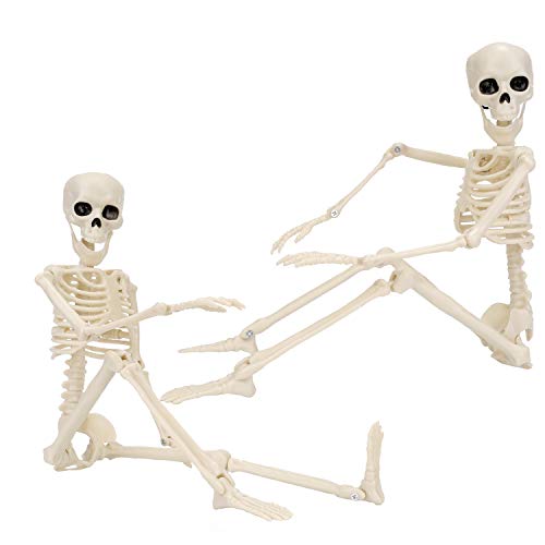 Qpout 2 Pack 16" Halloween Skeleton Full Body Posable Joints Skeletons, Halloween Skeleton Decorations for Halloween Party Haunted House Accessories Bar Graveyard Decorations Party Supplies