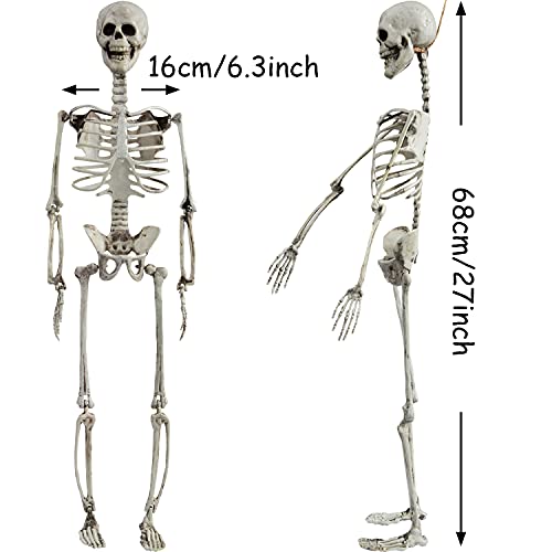 27” Halloween Skeleton Realistic Full Body Skeleton Bones with Movable Joints for Halloween Party Decoration