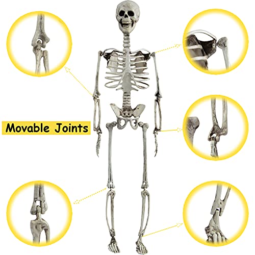 27” Halloween Skeleton Realistic Full Body Skeleton Bones with Movable Joints for Halloween Party Decoration