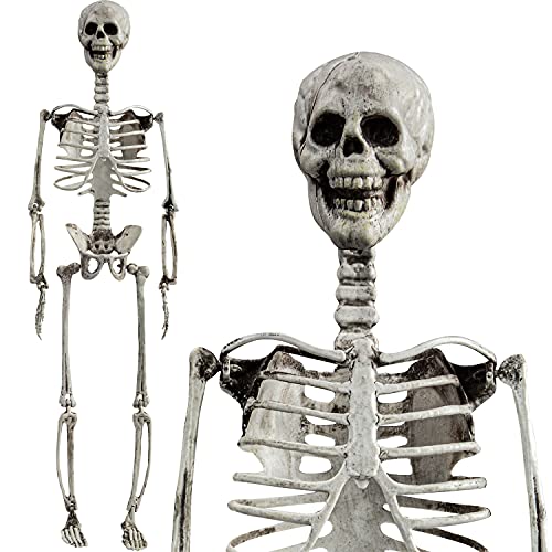27” Halloween Skeleton Realistic Full Body Skeleton Bones with Movable Joints for Halloween Party Decoration