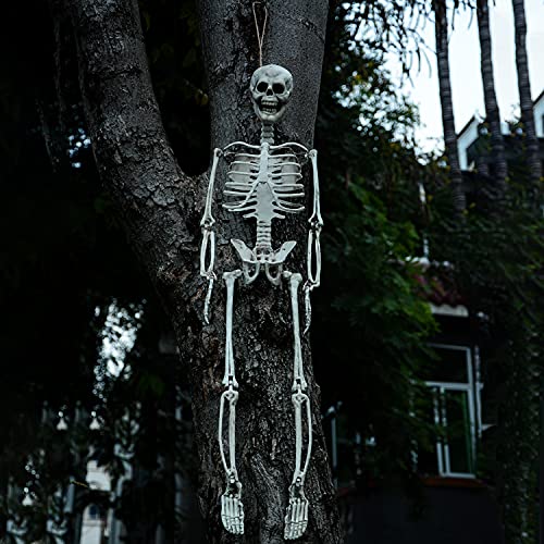 27” Halloween Skeleton Realistic Full Body Skeleton Bones with Movable Joints for Halloween Party Decoration