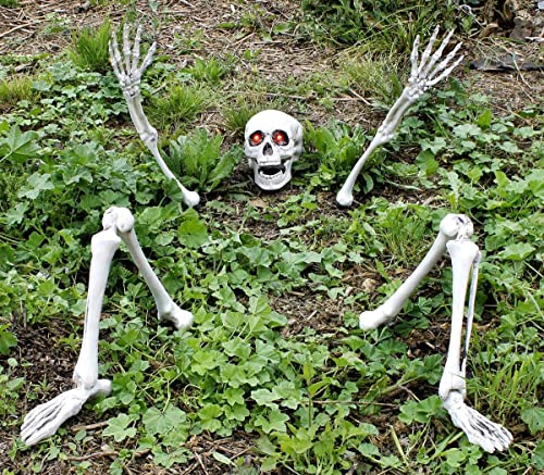 Skeleton Halloween Fancy Dress Decoration Prop - Ground Breaking Scary Party Decoration - Skull, 2x Arms & 2x Legs