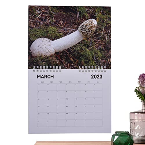 2023 Wall Calendar - Hangable Prank Gift Calendar | Monthly Hangable Wall Calendar, Funny Christmas New Year Prank Item Gift