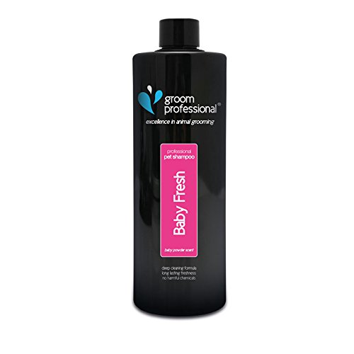Groom Professional Baby Fresh Dog Shampoo, Excellence in Animal Grooming, Gentle Scented Dog Shampoo, Perfect for Young or Sensitive Skin, Made in UK, 1 Litre