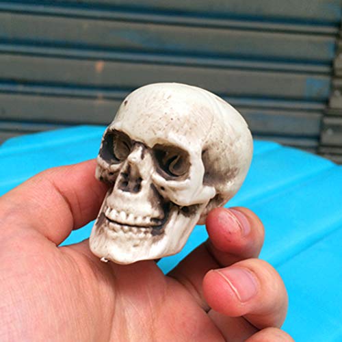 Amosfun 1pcs Skull Prop Mini Decorative Plastic Horror Statue Skeleton Head for Haunted House Halloween Decors