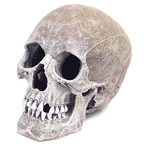 Rosewood Life-Like Human Skull Aquarium Decor,5" x 7-1/2" x 6",Blacks & Grays