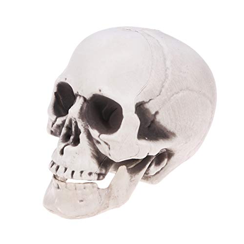 Amosfun Halloween Skull Decoration Human Skull Statue Scary Ghost Skeleton Skull