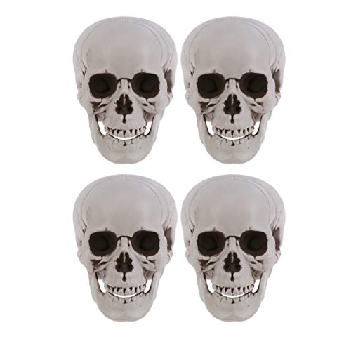 Amosfun 4PCS Halloween Skull Decoration Plastic Skeleton Model Human Skull Head Halloween Prop for Halloween Home Table Decor