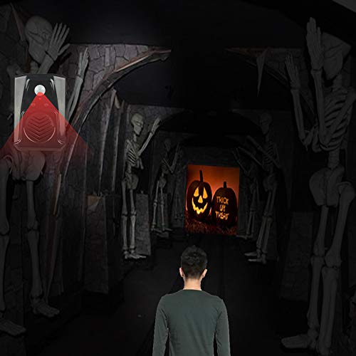 Waytronic Small Black PIR Infrared Motion Sensor Scream Sound Box MP3 Halloween Music Scary Voice Audio Speaker with USB Download Function (Black)