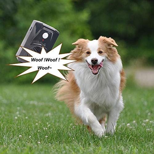 Waytronic Small Black PIR Infrared Motion Sensor Scream Sound Box MP3 Halloween Music Scary Voice Audio Speaker with USB Download Function (Black)