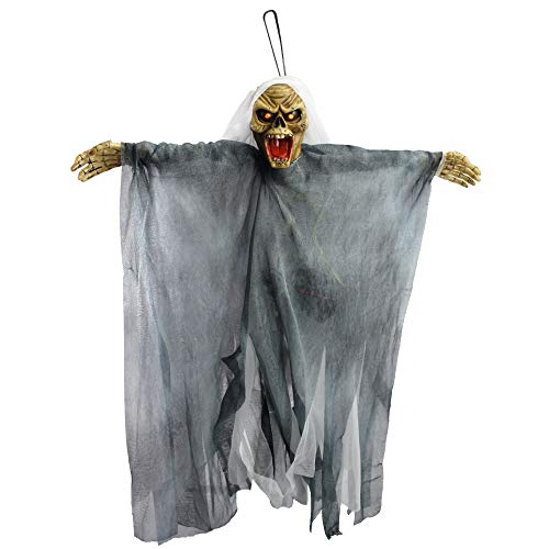 TRIXES Hanging Skeleton Witch Halloween Decoration - Light Up Eyes and Screams - Haunted House Event Accessory - Screaming Skeleton Decoration with Hanging Loop - Battery Operated