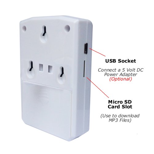 Talking Products, Halloween Decoration Party Motion Sensors with Spooky Sound Effects, Pack of 2, Scary Scream and Cackling Witch