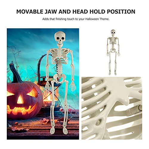 TOYANDONA Life Size Human Skeleton: Halloween Prop Decorations- with Bending Articulated Bone Joints that Stay in Place Halloween Spooky Party Favor