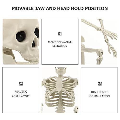 TOYANDONA Life Size Human Skeleton: Halloween Prop Decorations- with Bending Articulated Bone Joints that Stay in Place Halloween Spooky Party Favor