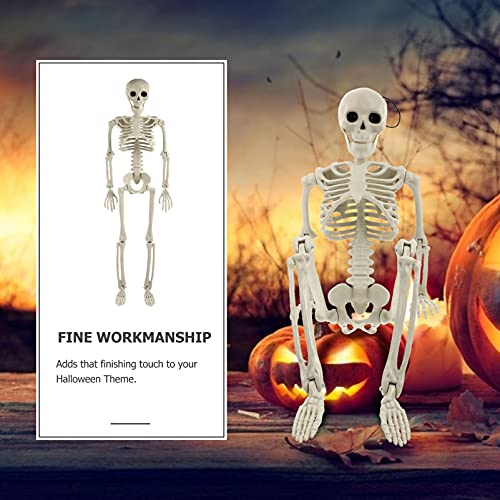 TOYANDONA Life Size Human Skeleton: Halloween Prop Decorations- with Bending Articulated Bone Joints that Stay in Place Halloween Spooky Party Favor