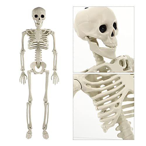 TOYANDONA Life Size Human Skeleton: Halloween Prop Decorations- with Bending Articulated Bone Joints that Stay in Place Halloween Spooky Party Favor