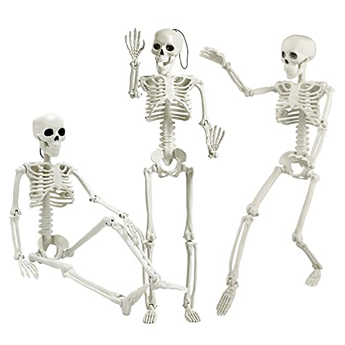 Halloween Skeletons Posable Halloween Hanging Skeletons Full Body Stretchy Realistic Human Plastic Bones with Movable Joints for Halloween Party Photo Prop Indoor Outdoor Decoration (3 Pack)